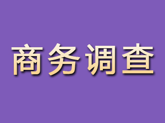 盘县商务调查